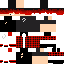 skin for 00Briter (roblox username)