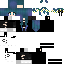 skin for 19 Followers contest