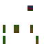 skin for 2d template steve