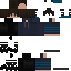 skin for Agupro