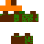 skin for Ascomycota(winter)