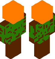 Ascomycota(winter)