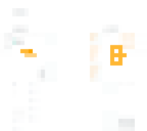 BitAccess Inc Software Skin BTM