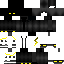 skin for black and yellow ninja