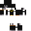 skin for Black ninja