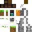 skin for Blocks
