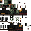 skin for Boba Fett
