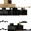 skin for Bricks Skin