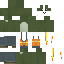 skin for Builder frog