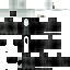 skin for Cameraman