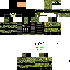 skin for CDN