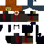 skin for coco haloween