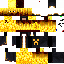 skin for d70180826c30b06