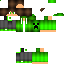 skin for dj