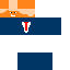 skin for Donald trump
