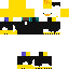 skin for duck costar