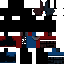 skin for duo