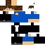 skin for DyNeXSoot