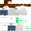 skin for Electric834