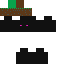 skin for Enderman holding grass block