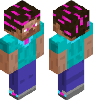 EVO STEVE1