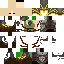 skin for eye closed elf gaurd