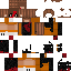 skin for eyeglass