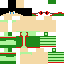 skin for Flygon Ace Trainer