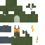 skin for Frog builder