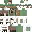 skin for grace