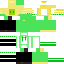 skin for Green Computer Man