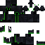 skin for green wizard