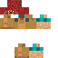 skin for hairy chad