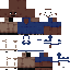 skin for I_CANT_PROVE_IT_YET