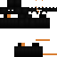 skin for javetinte