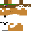 skin for Jesus