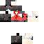 skin for 镜水toxi