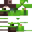 skin for kaway3003