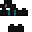 skin for ???