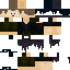 skin for Leo’s main
