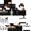 skin for Lynx Black