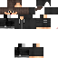 skin for lynx
