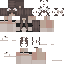 skin for Maid 