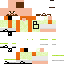 skin for Manuel (book)