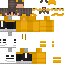 skin for MC_FOXT