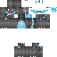 skin for Mega Charizard X
