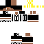 skin for Mini irving