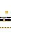 skin for Mini Penguin
