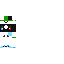 skin for MINI ZAMARANU
