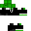 skin for Mr Frogo